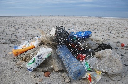 ©K. Dau/NLWKN - Bild zum Thema Kommunalen Müllreduzierung